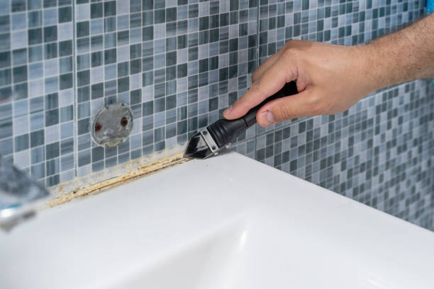 Best Mold Removal and Inspection  in Hamilton, GA