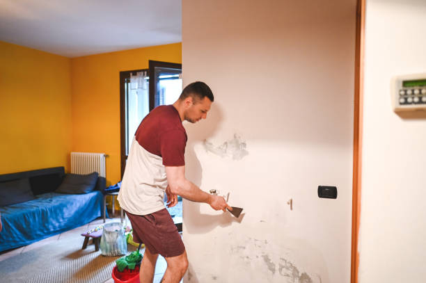 Best Affordable Mold Removal  in Hamilton, GA